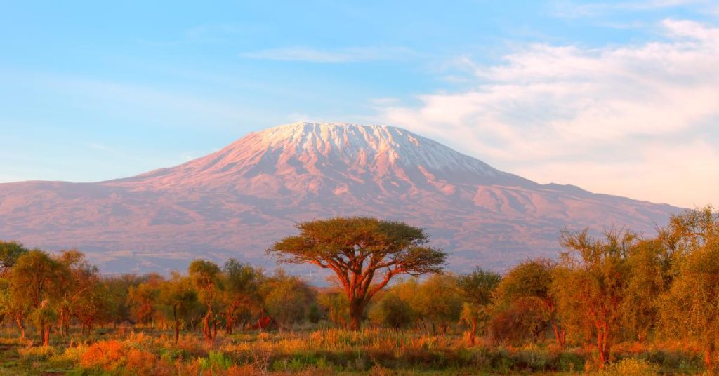 Los mejores safaris de África: Experiencias inolvidables en la fauna africana